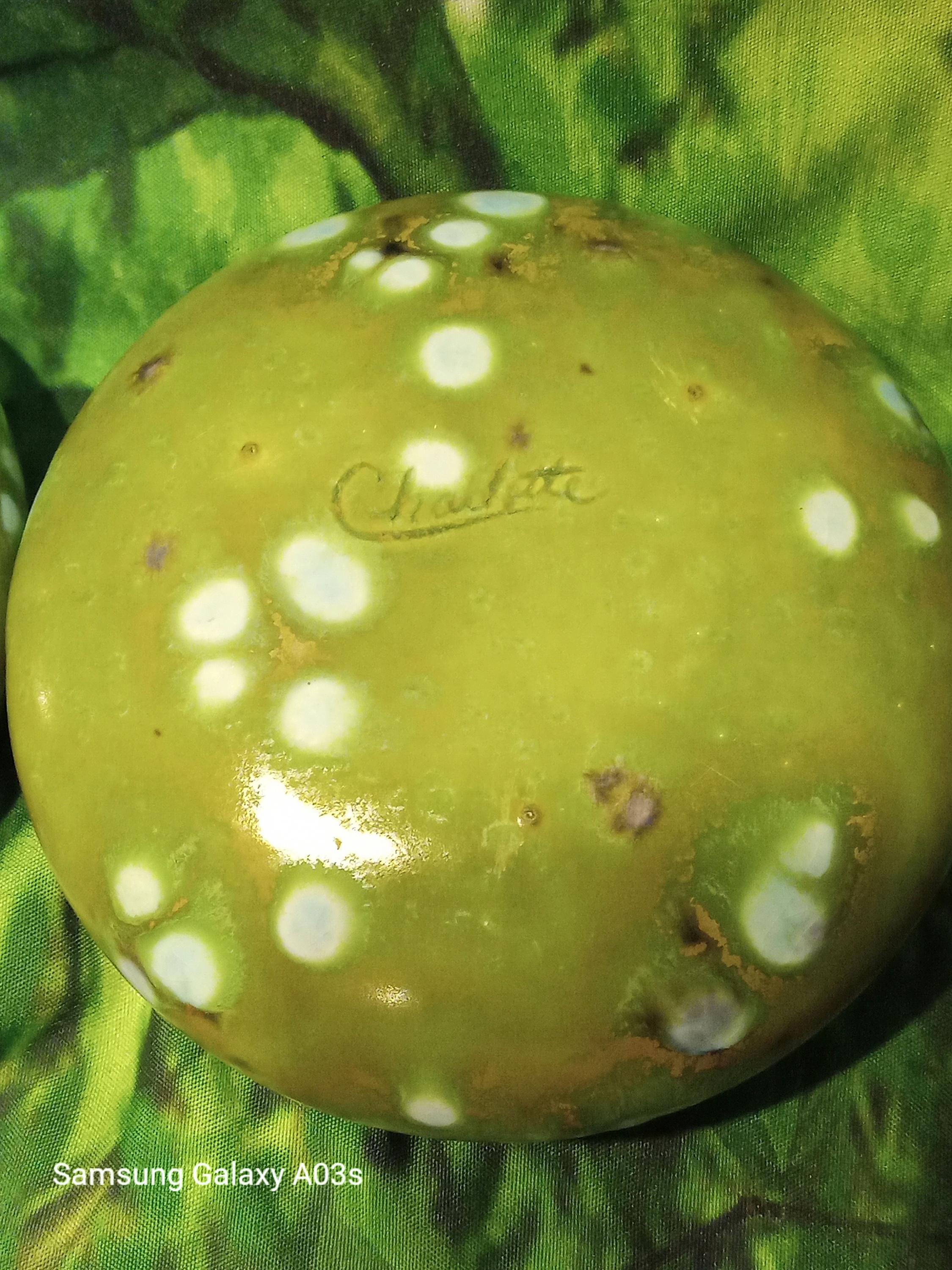 Hand-Glazed Studio Pottery - Trinket Box - Signed "Charlotte"