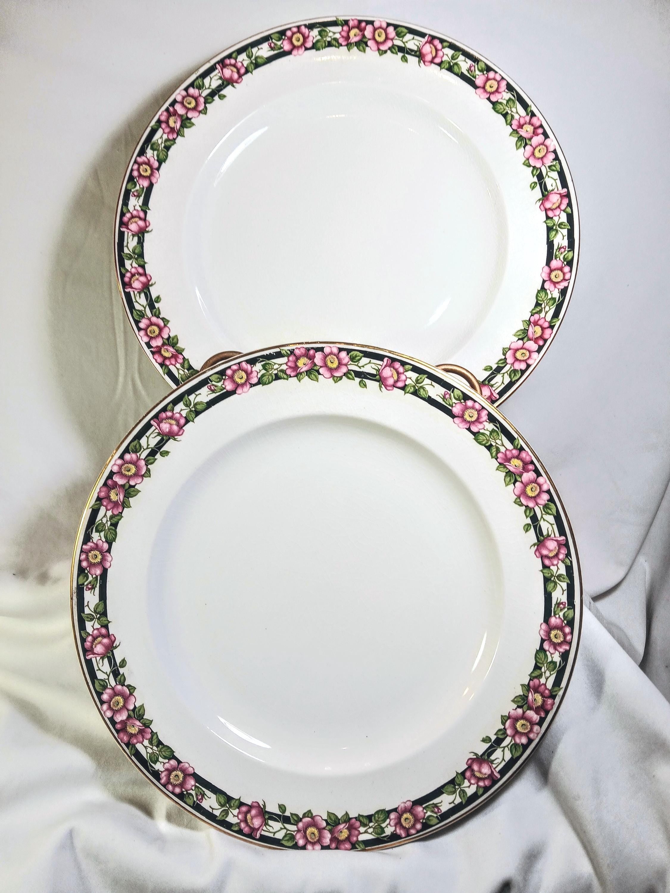 Pair of Antique Booths Silicon China Dinner Plates, England c. 1895–1910